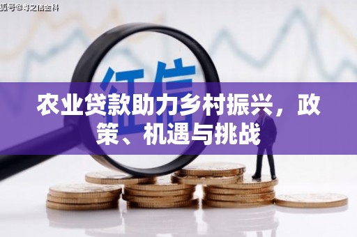 茄萣农业贷款助力乡村振兴，政策、机遇与挑战