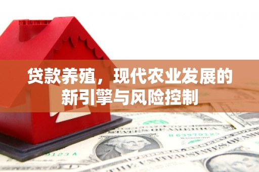 茄萣贷款养殖，现代农业发展的新引擎与风险控制