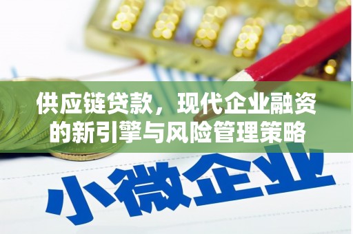 茄萣供应链贷款，现代企业融资的新引擎与风险管理策略