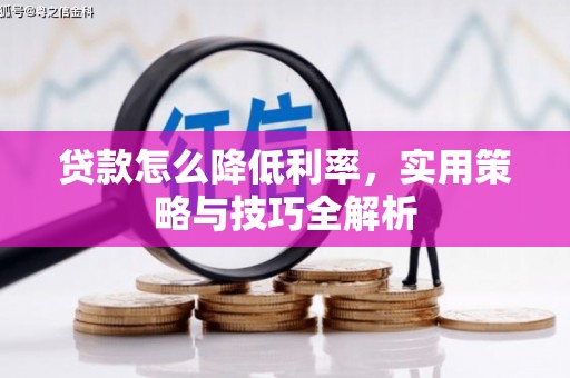 茄萣贷款怎么降低利率，实用策略与技巧全解析