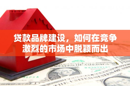茄萣贷款品牌建设，如何在竞争激烈的市场中脱颖而出