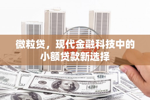 茄萣微粒贷，现代金融科技中的小额贷款新选择
