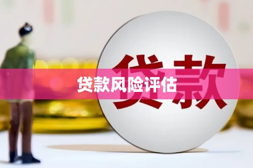 茄萣贷款风险评估