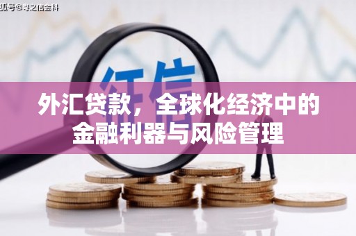 茄萣外汇贷款，全球化经济中的金融利器与风险管理