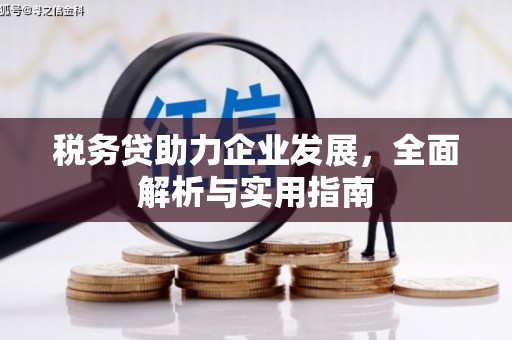 茄萣税务贷助力企业发展，全面解析与实用指南