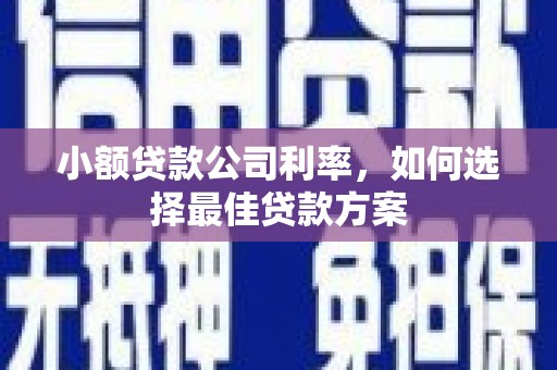 茄萣小额贷款公司利率，如何选择最佳贷款方案