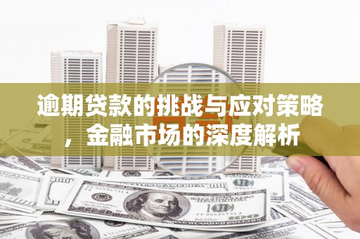茄萣逾期贷款的挑战与应对策略，金融市场的深度解析