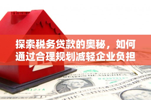 茄萣探索税务贷款的奥秘，如何通过合理规划减轻企业负担