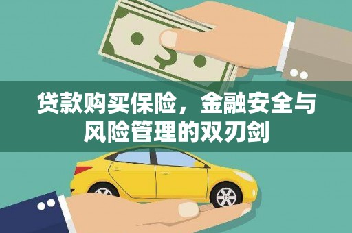 茄萣贷款购买保险，金融安全与风险管理的双刃剑