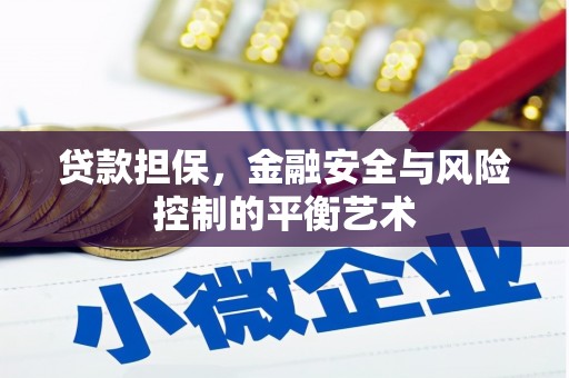 茄萣贷款担保，金融安全与风险控制的平衡艺术