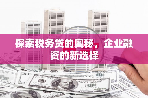 茄萣探索税务贷的奥秘，企业融资的新选择