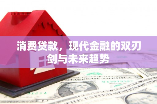 茄萣消费贷款，现代金融的双刃剑与未来趋势