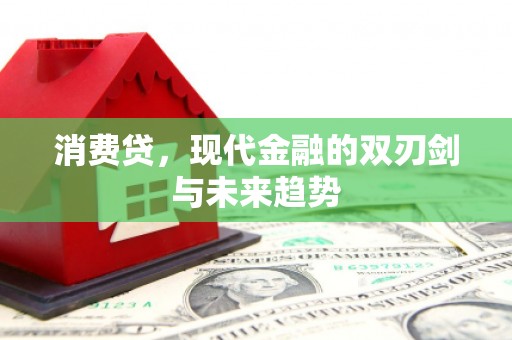 茄萣消费贷，现代金融的双刃剑与未来趋势