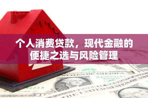 茄萣个人消费贷款，现代金融的便捷之选与风险管理