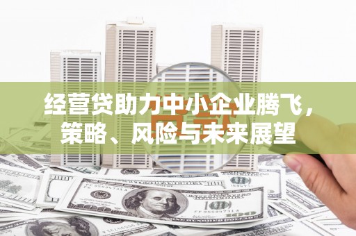 茄萣经营贷助力中小企业腾飞，策略、风险与未来展望