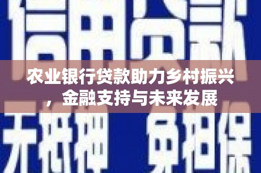茄萣农业银行贷款助力乡村振兴，金融支持与未来发展