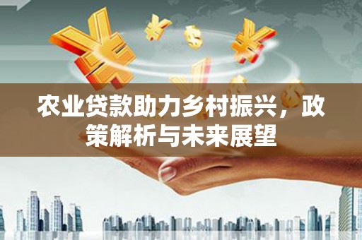茄萣农业贷款助力乡村振兴，政策解析与未来展望