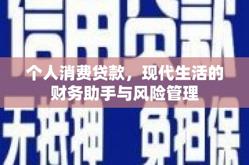 茄萣个人消费贷款，现代生活的财务助手与风险管理