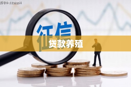 茄萣贷款养殖