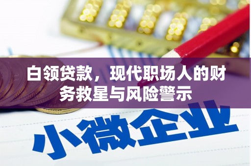 茄萣白领贷款，现代职场人的财务救星与风险警示