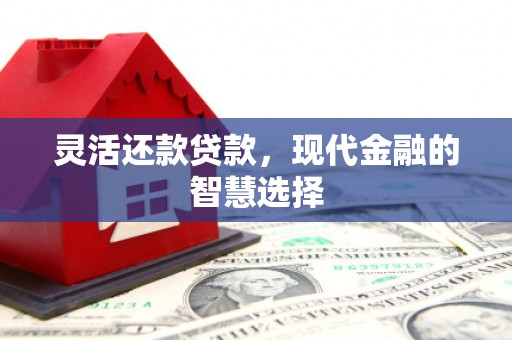 茄萣灵活还款贷款，现代金融的智慧选择