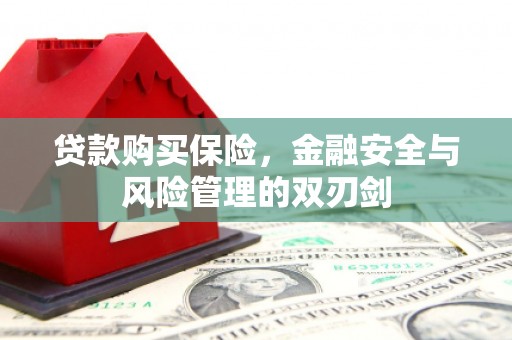 茄萣贷款购买保险，金融安全与风险管理的双刃剑