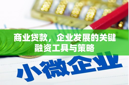 茄萣商业贷款，企业发展的关键融资工具与策略