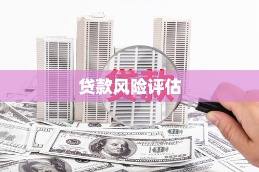 茄萣贷款风险评估