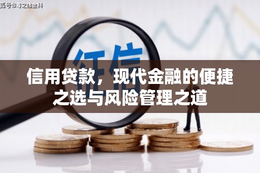 茄萣信用贷款，现代金融的便捷之选与风险管理之道
