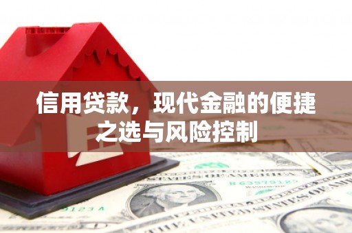 茄萣信用贷款，现代金融的便捷之选与风险控制