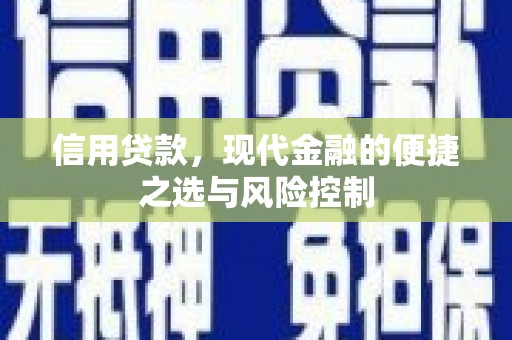 茄萣信用贷款，现代金融的便捷之选与风险控制