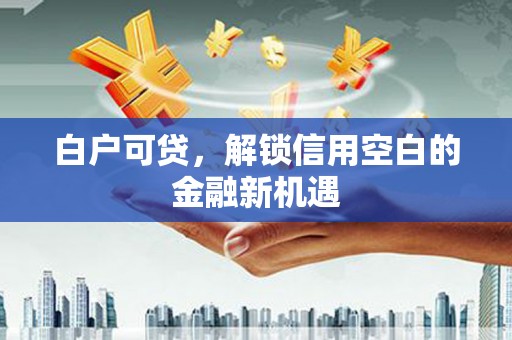 茄萣白户可贷，解锁信用空白的金融新机遇