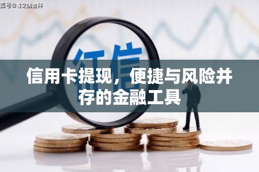 茄萣信用卡提现，便捷与风险并存的金融工具