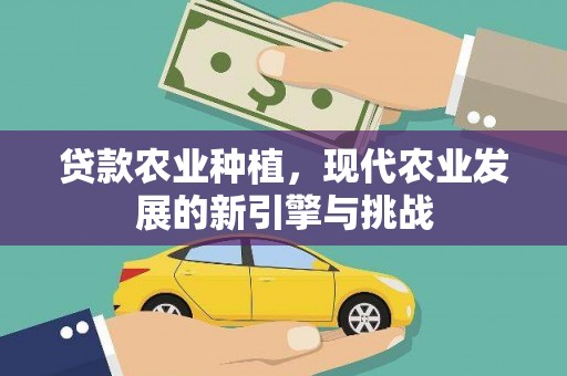 茄萣贷款农业种植，现代农业发展的新引擎与挑战