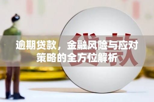 茄萣逾期贷款，金融风险与应对策略的全方位解析