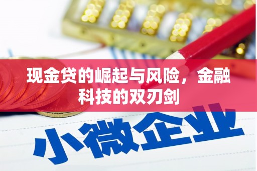 茄萣现金贷的崛起与风险，金融科技的双刃剑