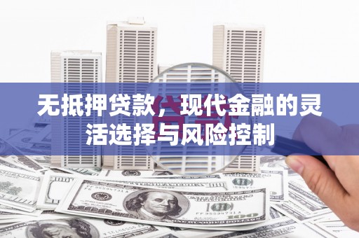 茄萣无抵押贷款，现代金融的灵活选择与风险控制