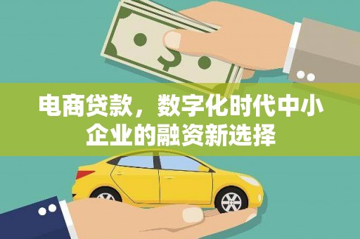 茄萣电商贷款，数字化时代中小企业的融资新选择