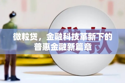 茄萣微粒贷，金融科技革新下的普惠金融新篇章