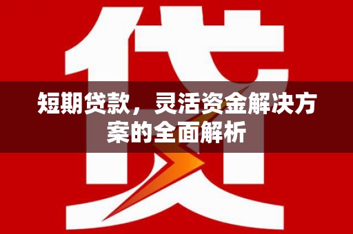 茄萣短期贷款，灵活资金解决方案的全面解析
