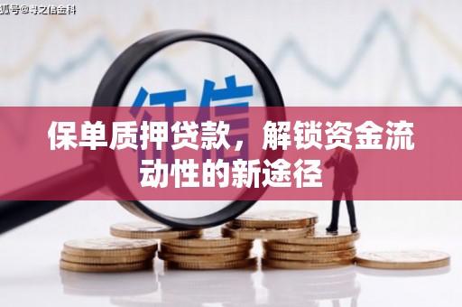 茄萣保单质押贷款，解锁资金流动性的新途径