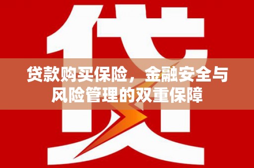 茄萣贷款购买保险，金融安全与风险管理的双重保障