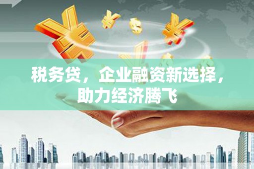 茄萣税务贷，企业融资新选择，助力经济腾飞