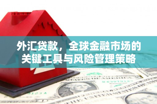 茄萣外汇贷款，全球金融市场的关键工具与风险管理策略