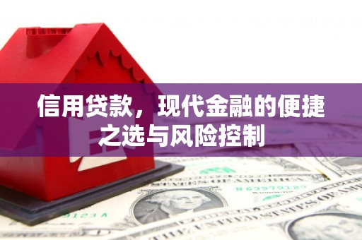 茄萣信用贷款，现代金融的便捷之选与风险控制