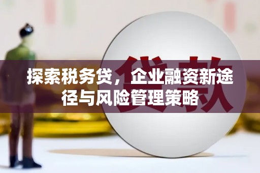 茄萣探索税务贷，企业融资新途径与风险管理策略