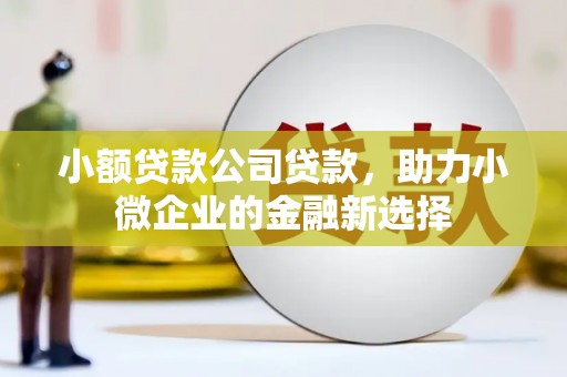 茄萣小额贷款公司贷款，助力小微企业的金融新选择