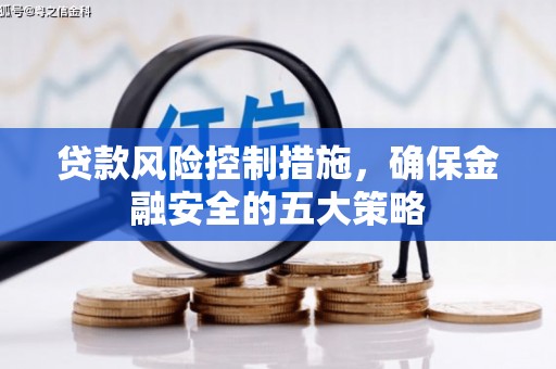 茄萣贷款风险控制措施，确保金融安全的五大策略