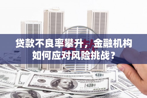 茄萣贷款不良率攀升，金融机构如何应对风险挑战？