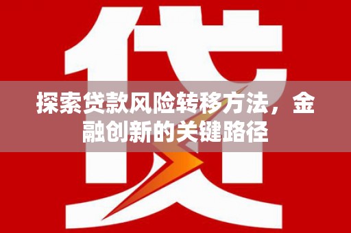 茄萣探索贷款风险转移方法，金融创新的关键路径